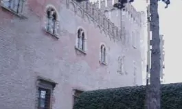 featured 2928844 265x160