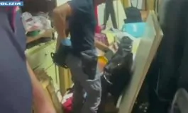 featured 2929001 265x160