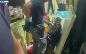 featured 2929001 364x230