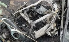 featured 2929746 265x160