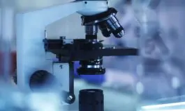 featured 2930244 265x160