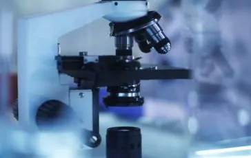 featured 2930244 364x230