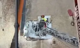 featured 2930520 265x160