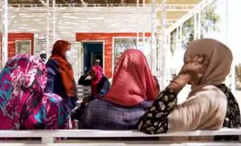 featured 2930548 265x160