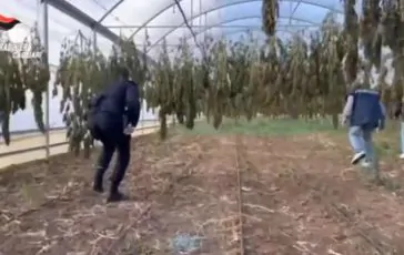 featured 2932763 364x230