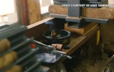 featured 2933215 364x230