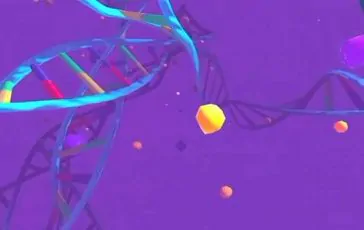 featured 2935877 364x230