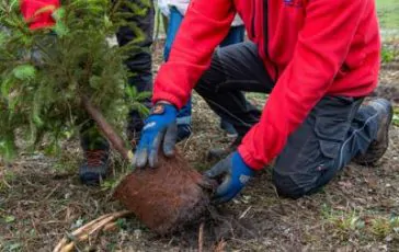 featured 2936013 364x230