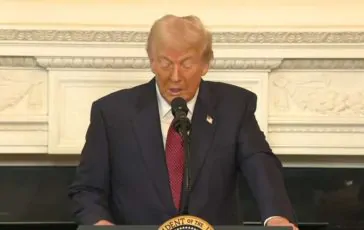 featured 2936421 364x230