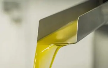 featured 2936834 364x230