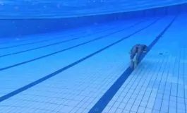 featured 2936871 265x160