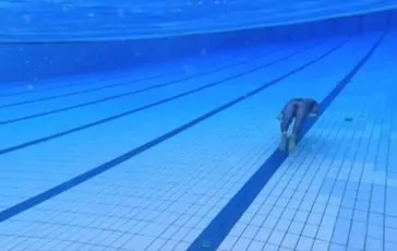 featured 2936871 364x230