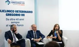 featured 2938324 265x160