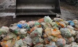 featured 2940157 265x160