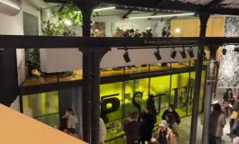 featured 2940243 265x160