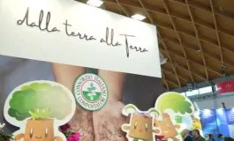 featured 2940482 265x160