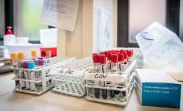 featured 2941871 265x160