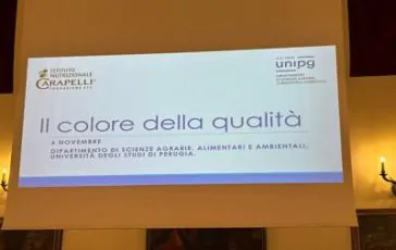 featured 2942342 364x230