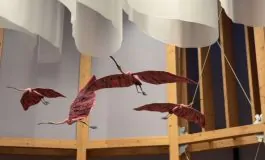 featured 2942390 265x160