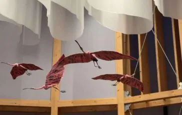 featured 2942390 364x230