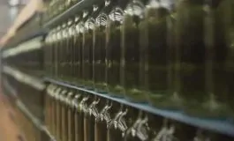 featured 2942574 265x160