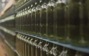 featured 2942574 364x230