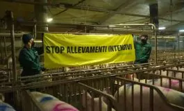 featured 2942602 265x160