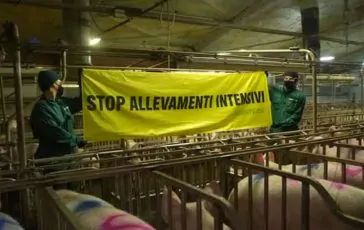 featured 2942602 364x230