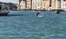 featured 2944902 265x160