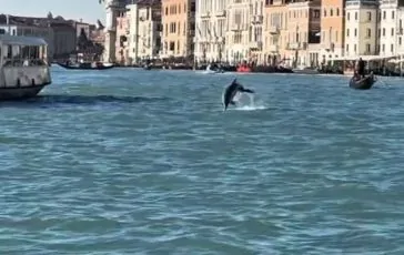 featured 2944902 364x230