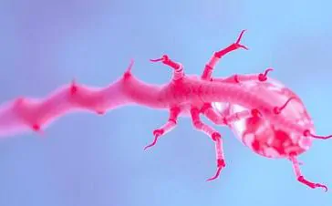 featured 2945155 364x226