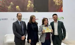 featured 2946019 265x160