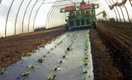 featured 2946779 265x160