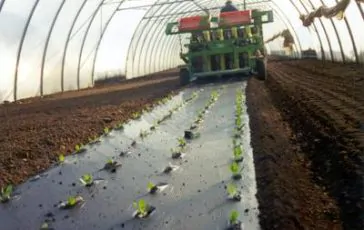 featured 2946779 364x230