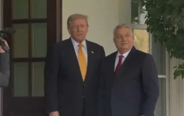 featured 2947245 364x230