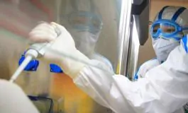 featured 2950347 265x160