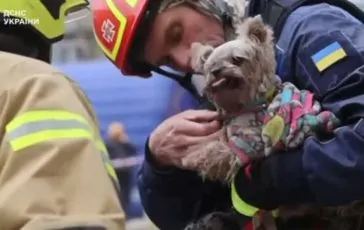 featured 2951505 364x230