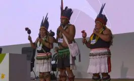 featured 2959302 265x160