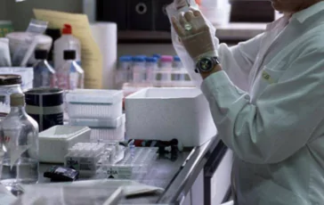 featured 2959995 364x230