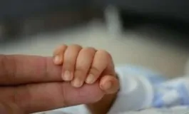 featured 2964443 265x160