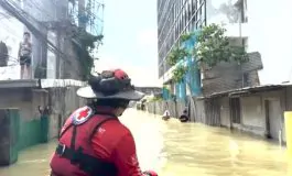 featured 2964447 265x160