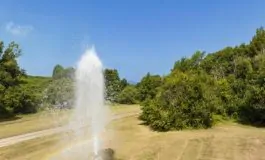 featured 2964739 265x160