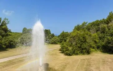 featured 2964739 364x230