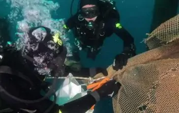 featured 2966417 364x230