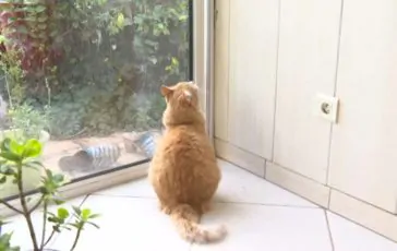 featured 2970235 364x230