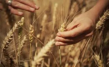 featured 2971765 364x225