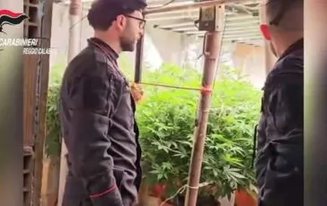 featured 2975022 364x230