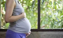 featured 2975087 265x160