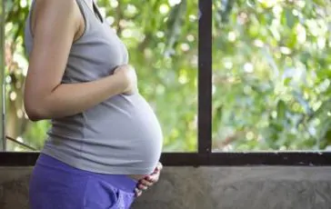 featured 2975087 364x230