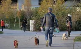 featured 2975373 265x160